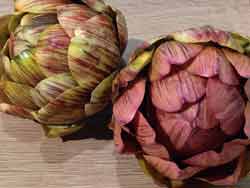 artichoke-1218375_640